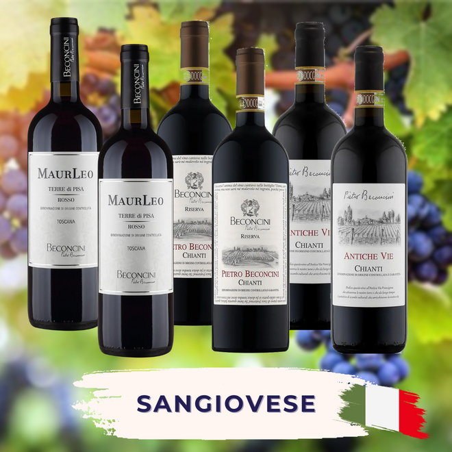 Sangiovese Probierpaket