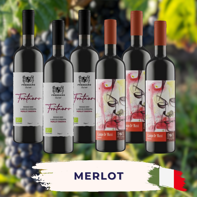 Merlot Tasting Case