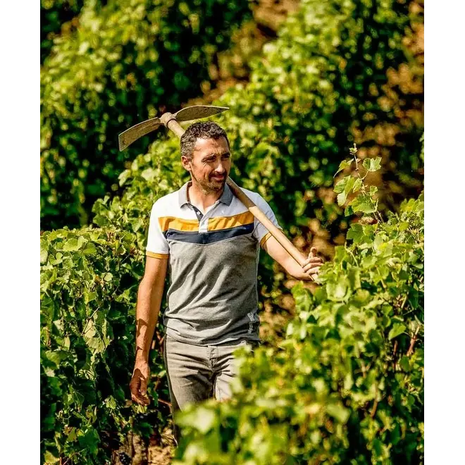 Sancerre Nicolas Millet Tasting Case