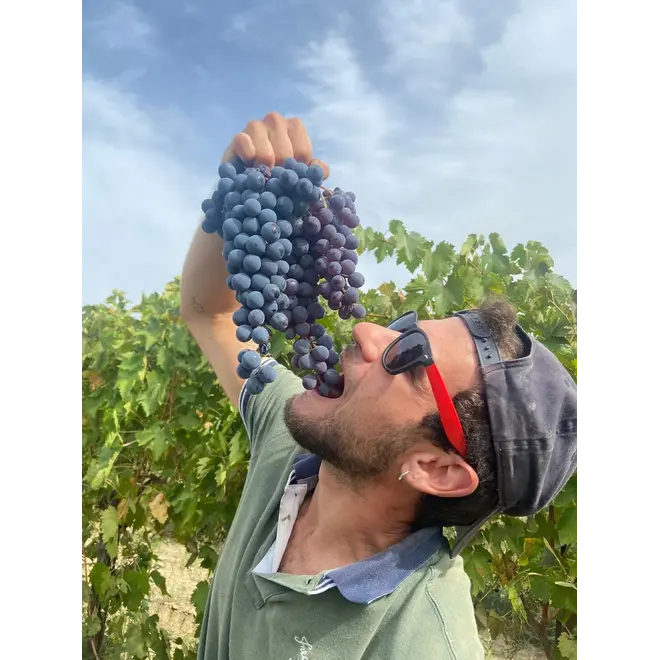 Azienda Agricola Cecci proefpakket