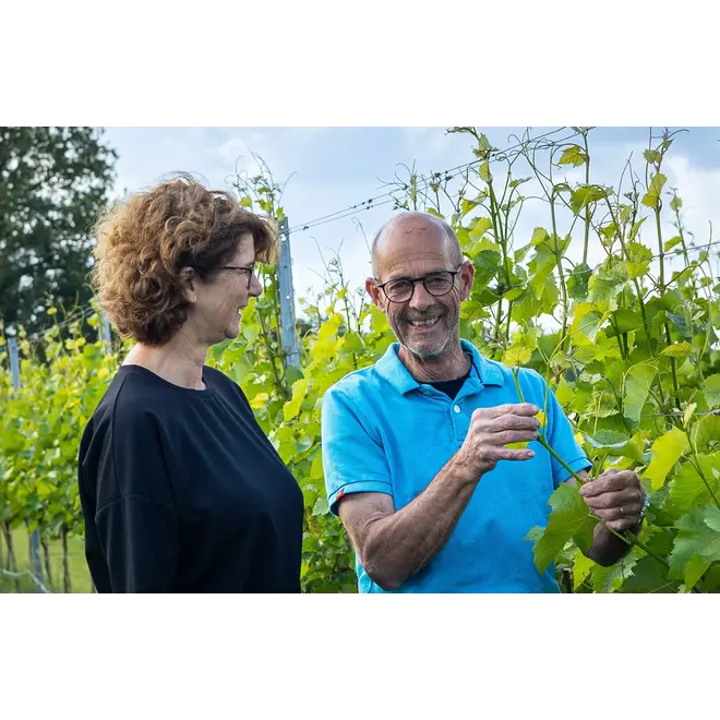 Wijngaard de Genenberg Tasting Case (Limburg)