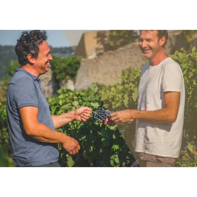 Domaine Luyton-Fleury Tasting Case (Rhône)