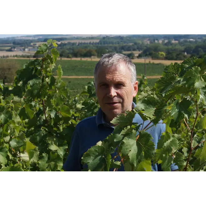 Domaine des Ruaults Tasting Case (Loire)