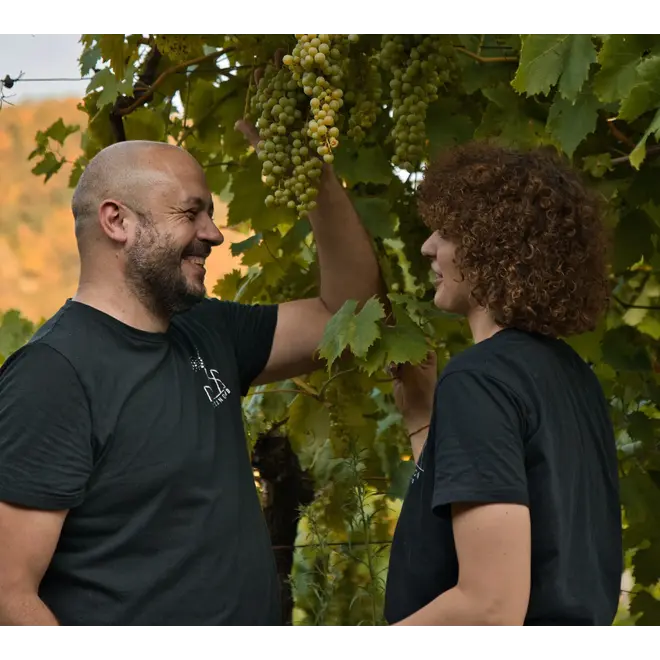 Zambon Vulcano Tasting Case