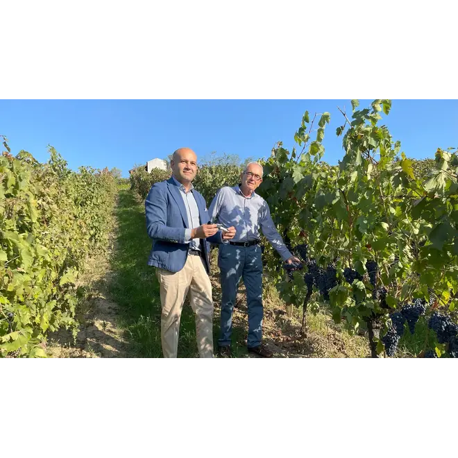 Davico Stefano Tasting Case (Piedmont)