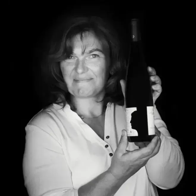 Domaine Gueth Tasting Case