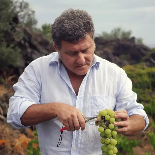 Abbazia San Giorgio Tasting Case