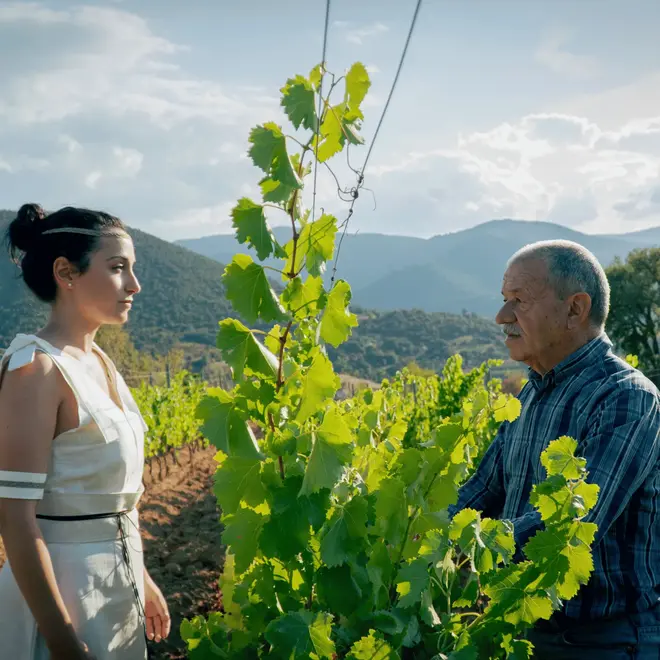 Cantine di Orgosolo Probierpaket (Sardinien)