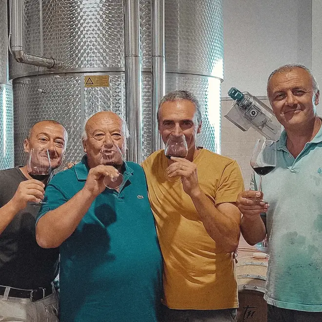 Cantina Masseria Torricella Tasting Case (Puglia)