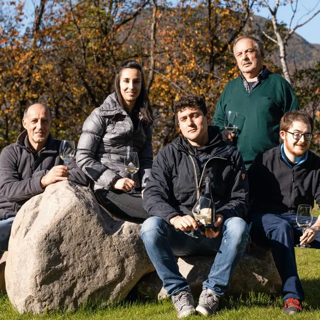 Cantina Micheli Tasting Case (Trentino)