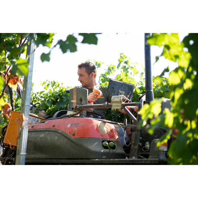 Proefpakket Giachino