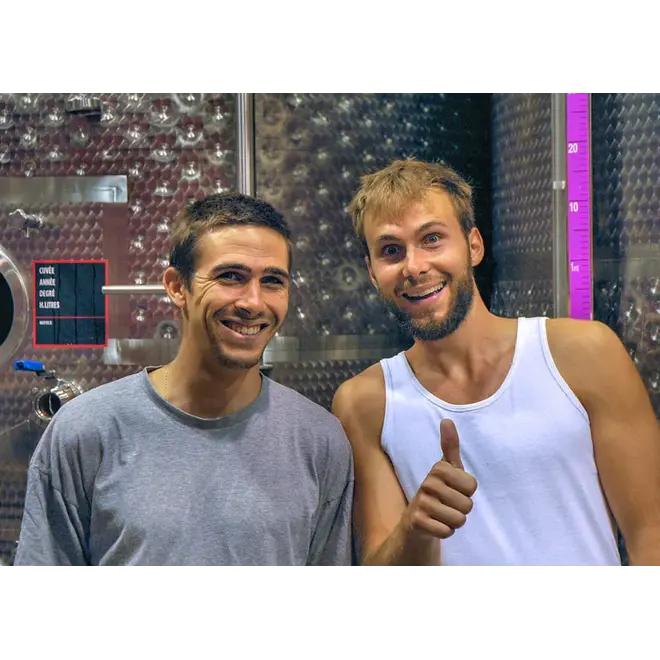 L'or Vert Tasting Case (Provence)