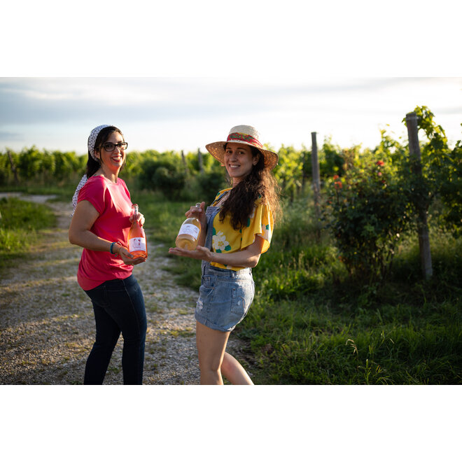 Terre Grosse Proefpakket