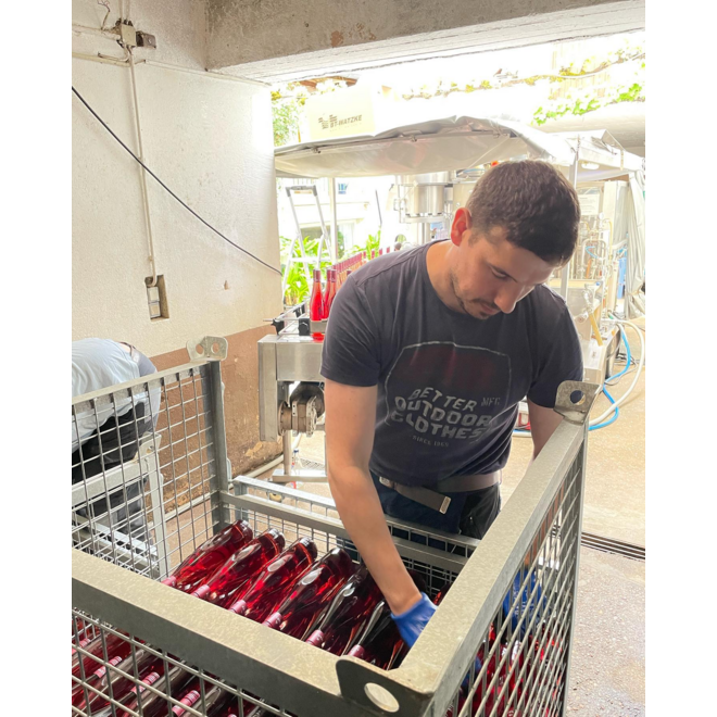 Weingut Marx Tasting Case