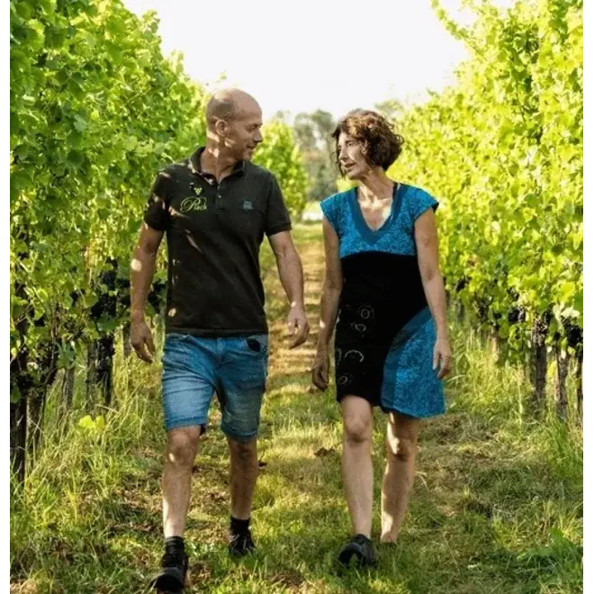 Wijngaard de Plack Tasting Case