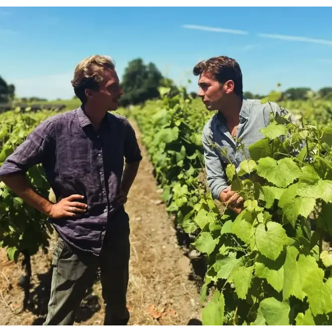 Chon Frères Vignerons Tasting Case (Loire)