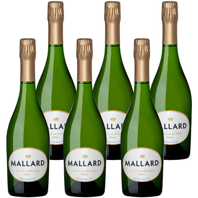 Crémant de Bordeaux Blanc Brut