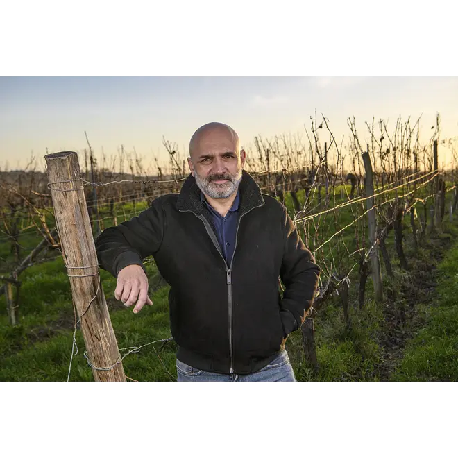 Vignobles Mallard Probierpaket