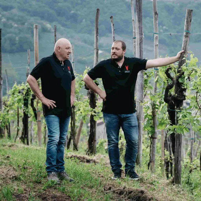 Francesco Follador Tasting Case