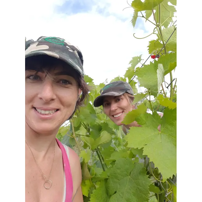 Poggio Bbaranello Probierpaket