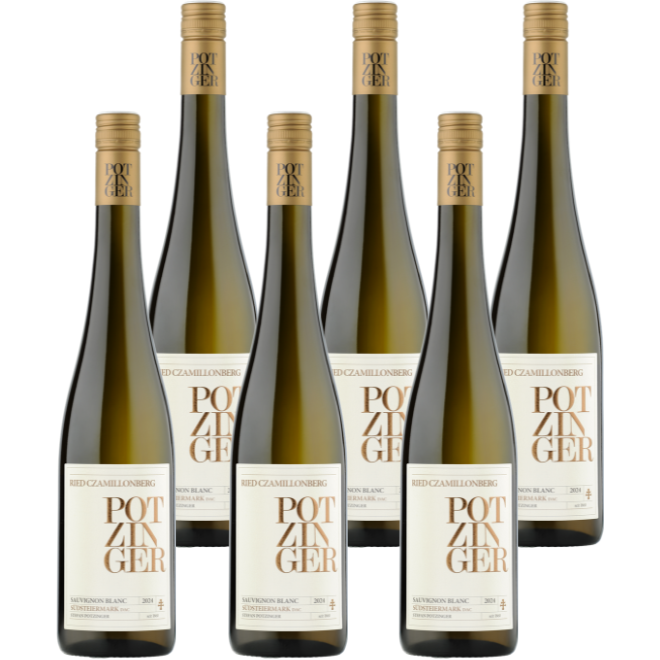 Sauvignon Blanc Ried Czamillonberg DAC 2024