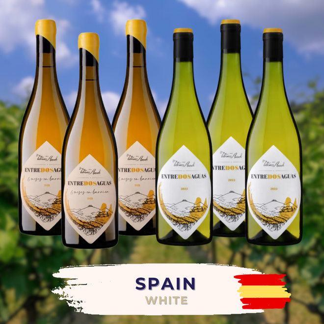 Spain White Tasting Case