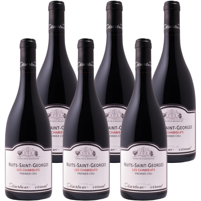 Nuits-Saint-Georges 1er Cru 'Les Chabœufs' 2023