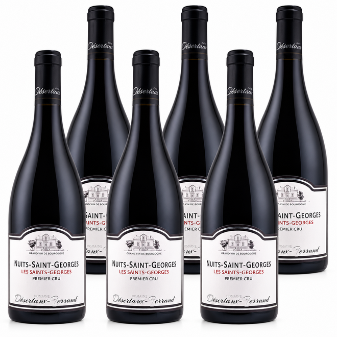 Nuits-Saint-Georges 1er Cru 'Les Saints-Georges' 2023