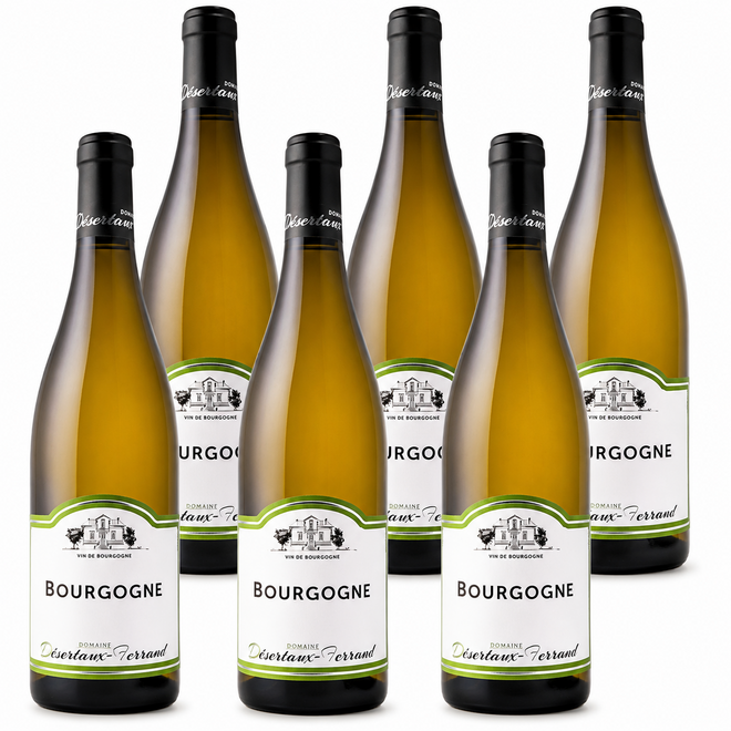 Bourgogne Blanc 2025