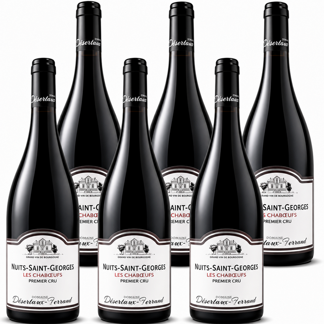 Nuits-Saint-Georges 1er Cru 'Les Chabœufs' 2023