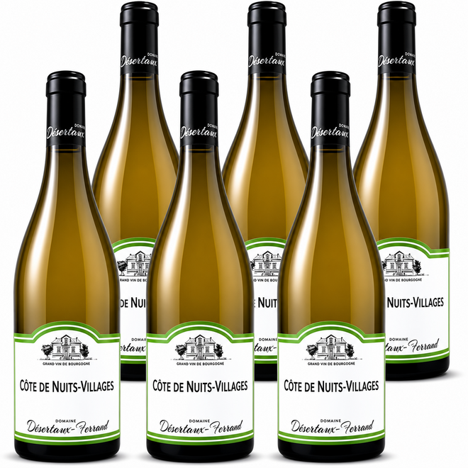 Côte de Nuits-Villages Blanc 2024