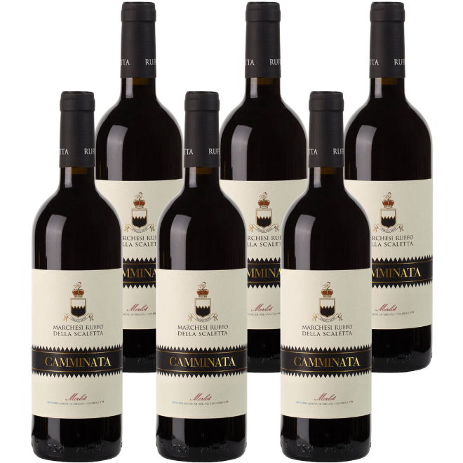 'Camminata' Merlot IGP