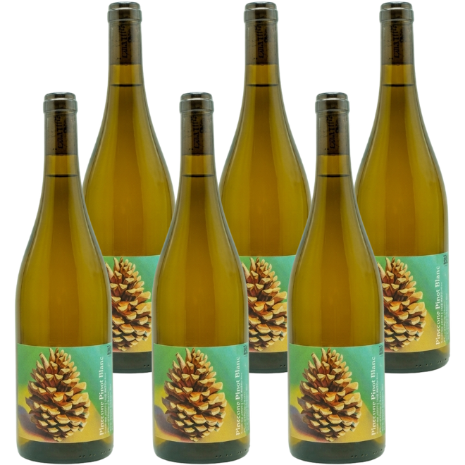 'Pinecone' Pinot Blanc