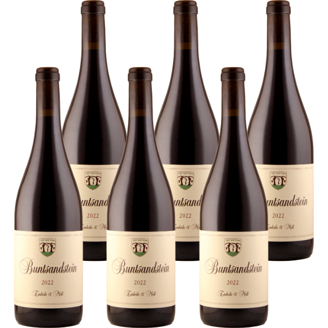 Pinot Noir 'Buntsandstein' 2023
