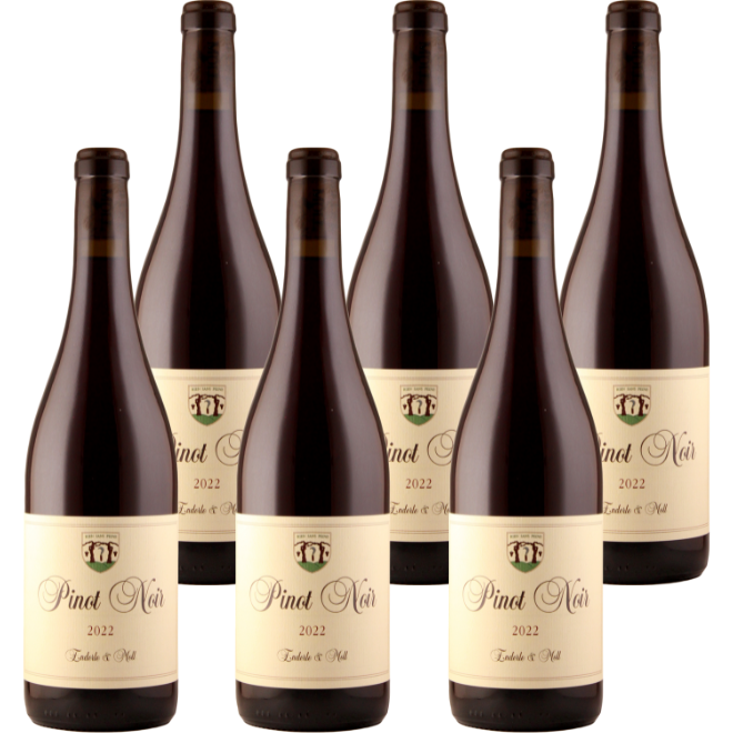 Pinot Noir 'Basis' 2022
