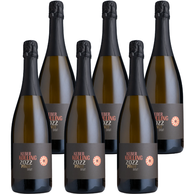 Pinot Sekt Brut 2022