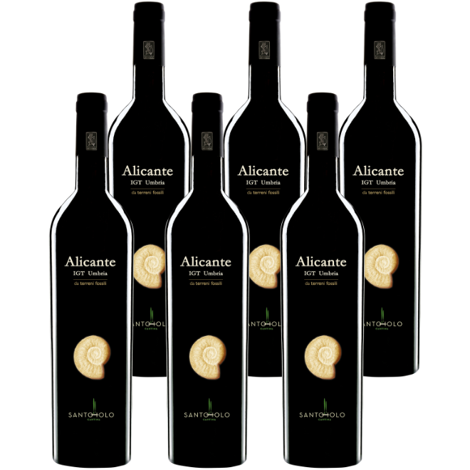 Alicante IGT Umbria Rosso 2021