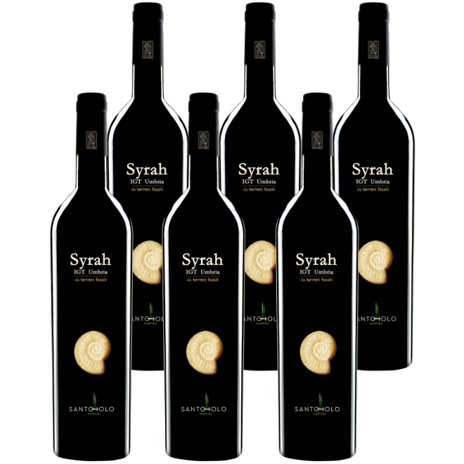 Syrah IGT Umbria Rosso 2022