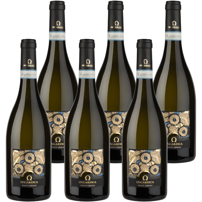 Pinot Grigio DOC delle Venezie