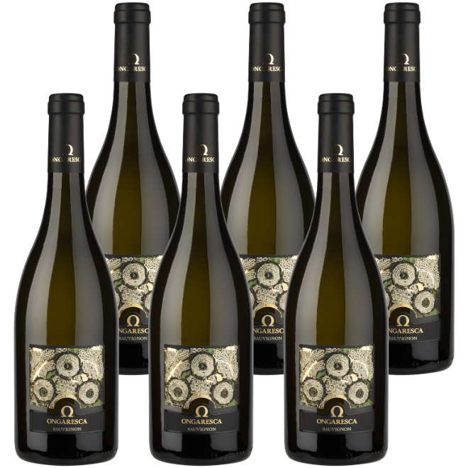 Sauvignon IGT Veneto