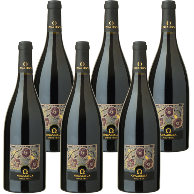 Pinot Nero IGT Veneto