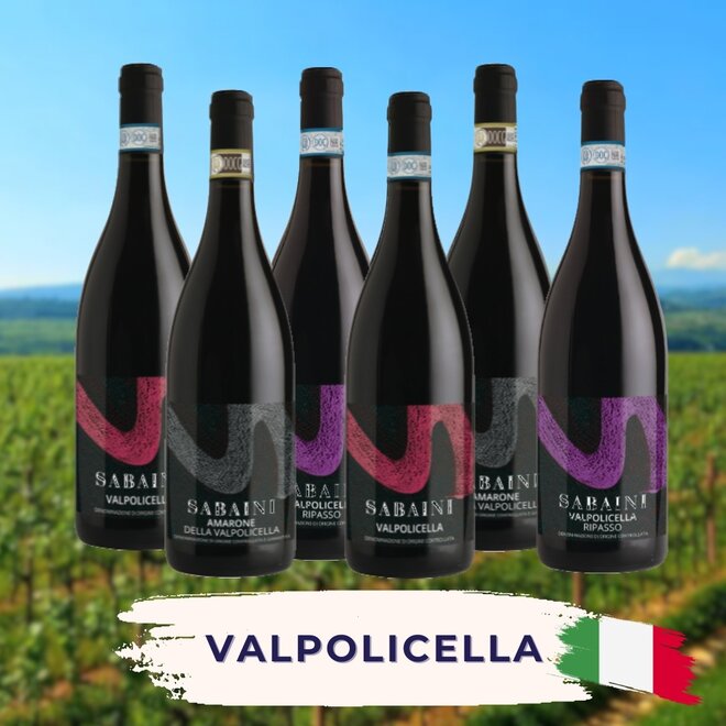 Valpolicella Rotwein Probierpaket