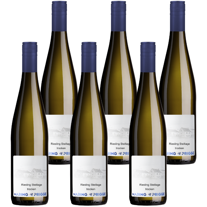 Riesling Steillage Trocken