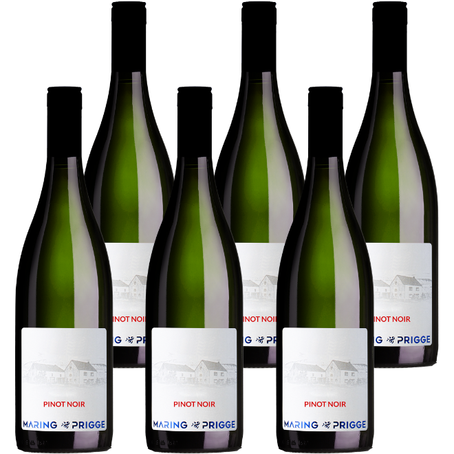 Pinot Noir Trocken 2023