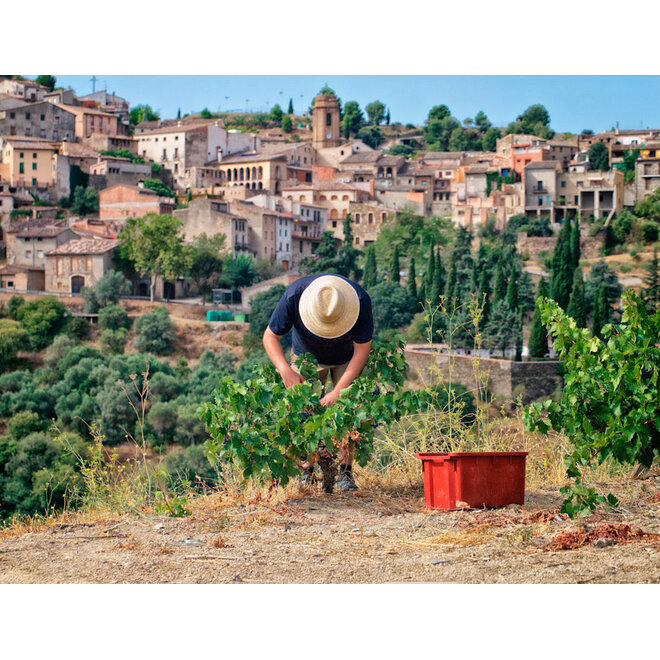 Masterclass Bodega Bravo Escós (Priorat)