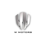 W Motors