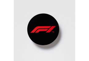 F1 Magneet