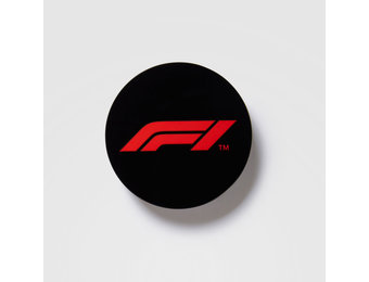 F1 Magneet