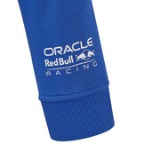 Red Bull Racing "MV1" Max Verstappen Zandvoort GP 2024 Hoodie Blau