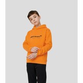 McLaren F1 Kids Core Essentials Hoodie